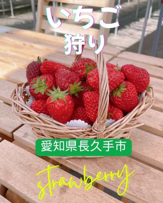 愛知県長久手市
『すまいるベリーズさがみね』でいちご摘み🍓
おなかいっぱい

#いちご狩り #長久手市 #すまいるベリーズ長久手 #strawberry